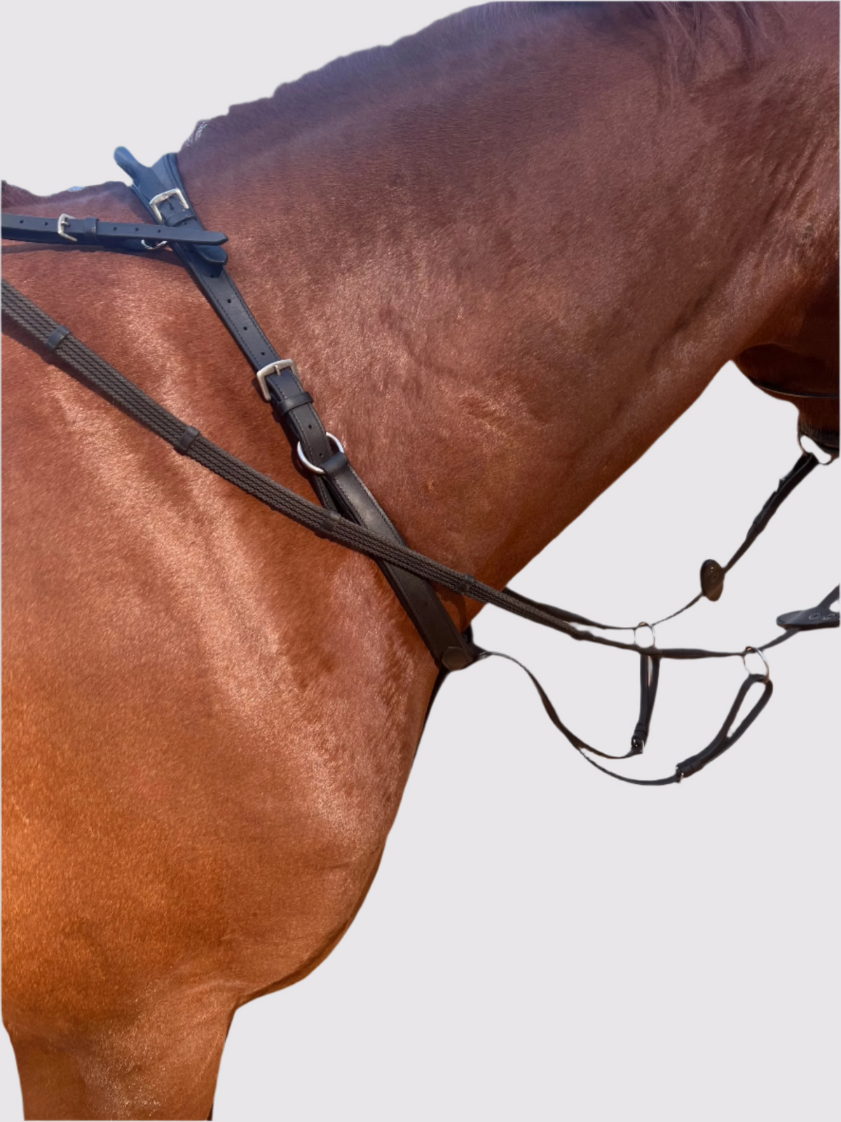 Correct Connect - Correct Connect - Running Martingale Add-On for Double Neck Strap