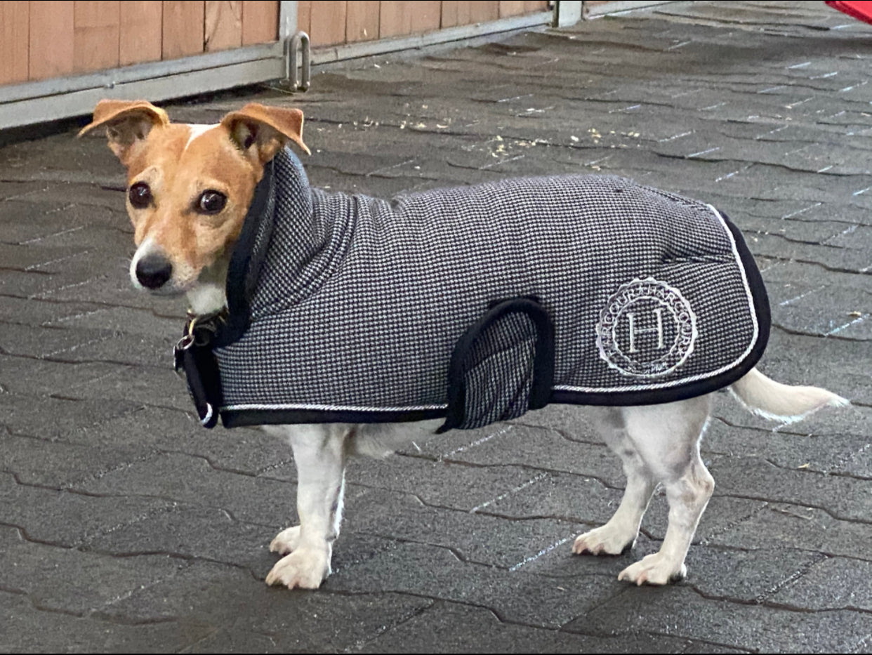 Harcour USA - Code Dog Blanket Coat