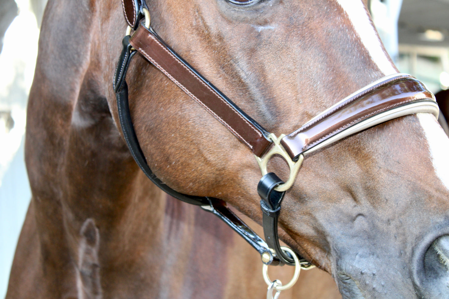Halter Ego - Catalonia Metallic Bronze Black Leather Halter