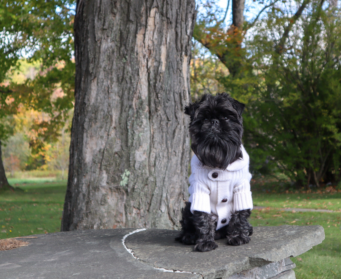 BESPOKE PAWS - Brooklyn Cashmere Cardigan—NYC Designer Original