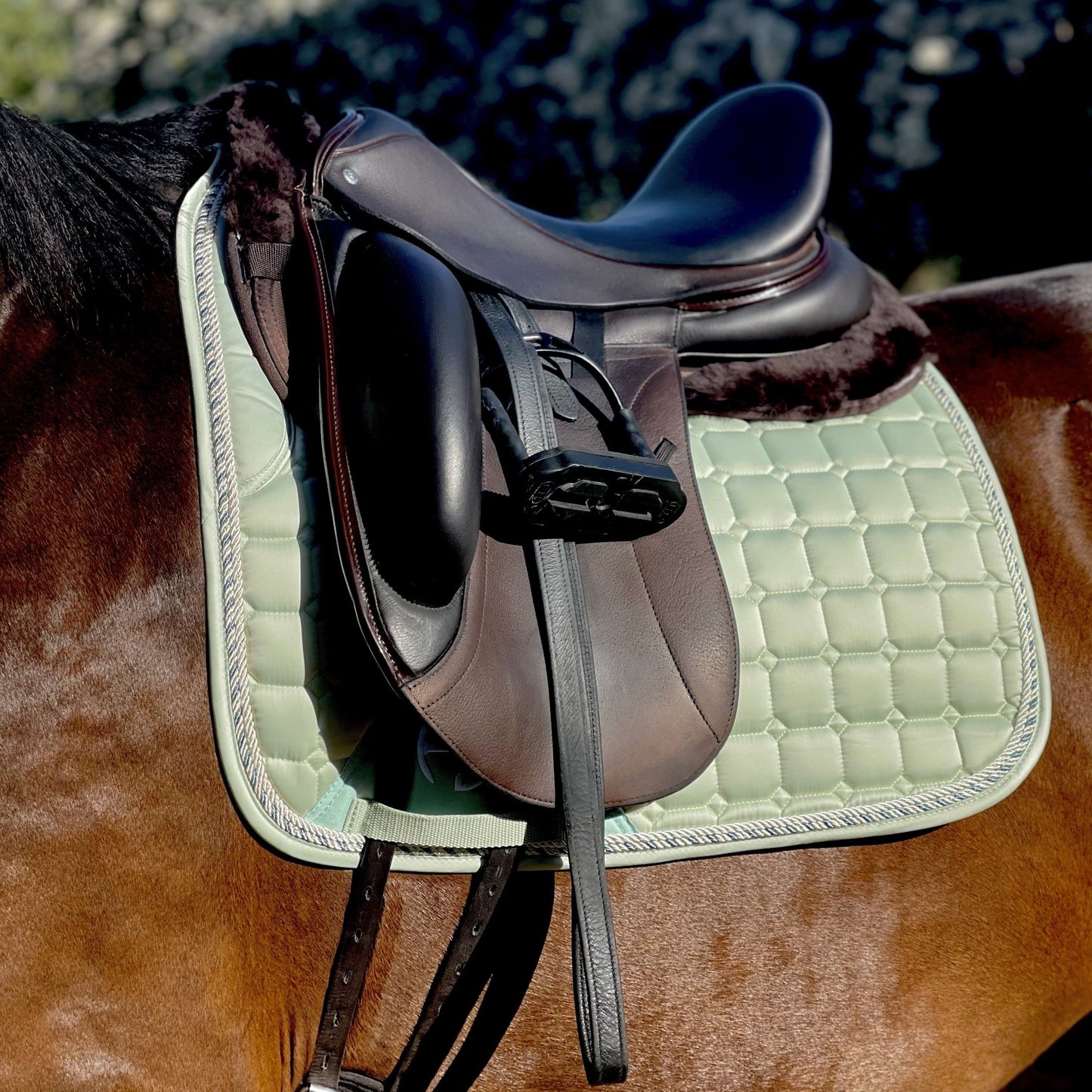 Halter Ego - Satin Classic Dressage Saddle Pad - Mint Sorbet