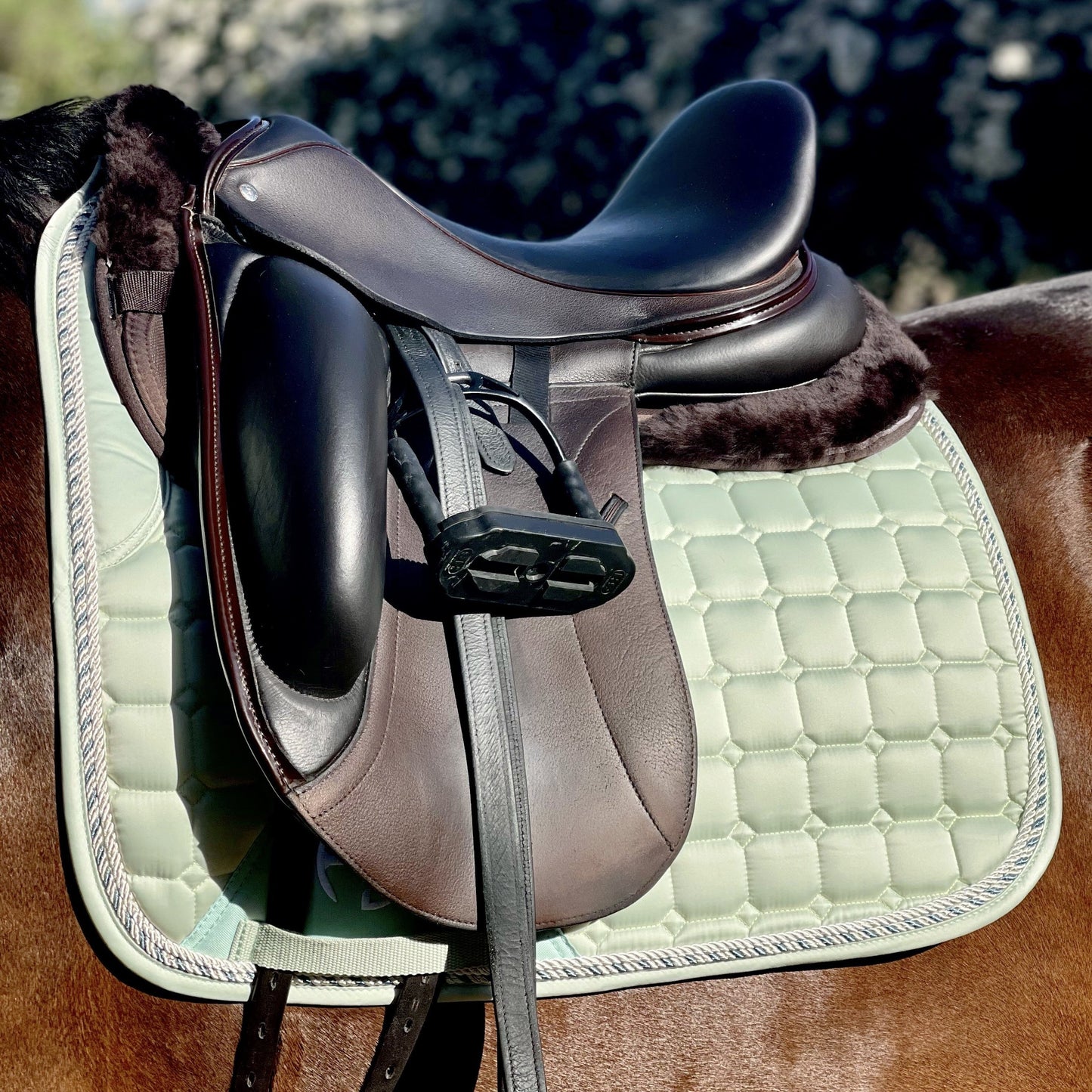 Halter Ego - Satin Classic Dressage Saddle Pad - Mint Sorbet