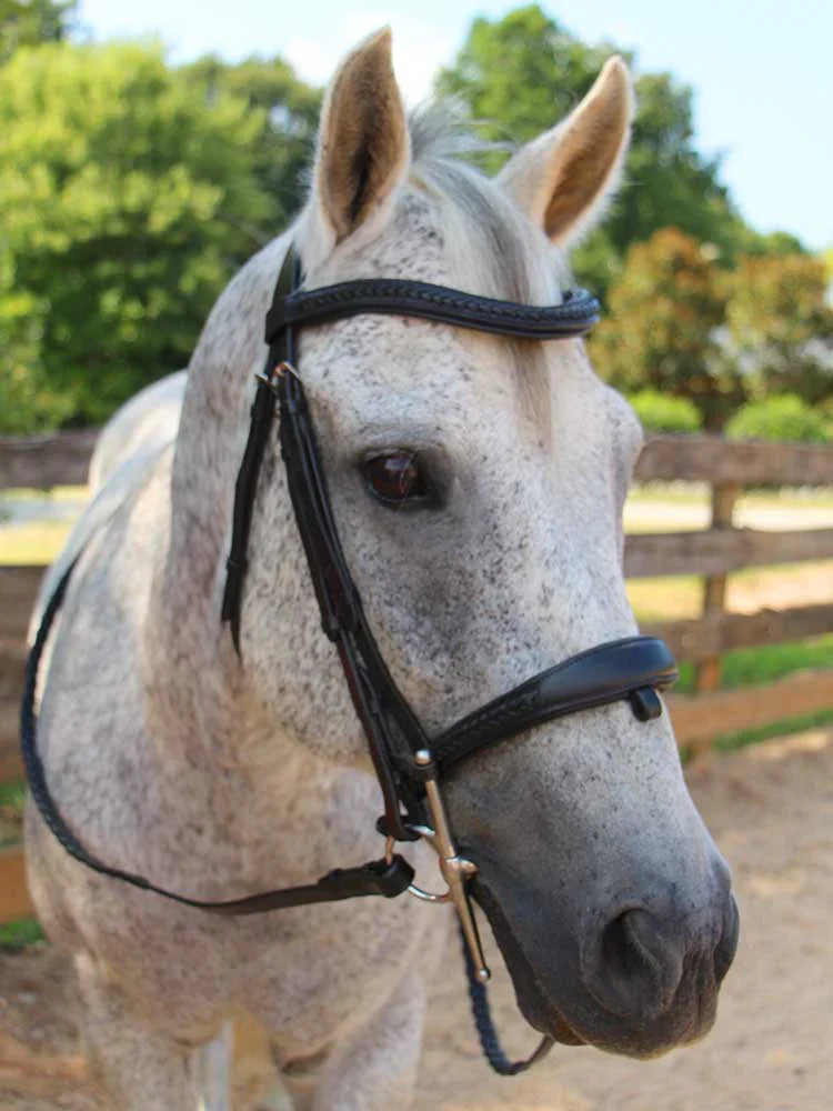 Grewal Equestrian - Wicker Braided Monocrown Bridle