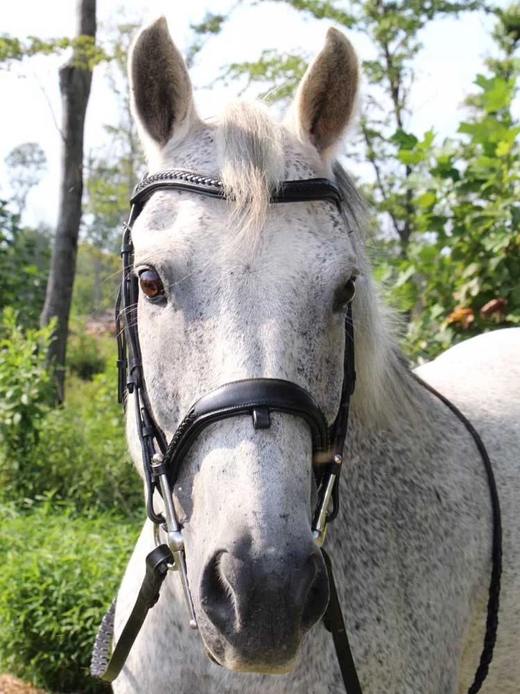 Grewal Equestrian - Wicker Braided Monocrown Bridle