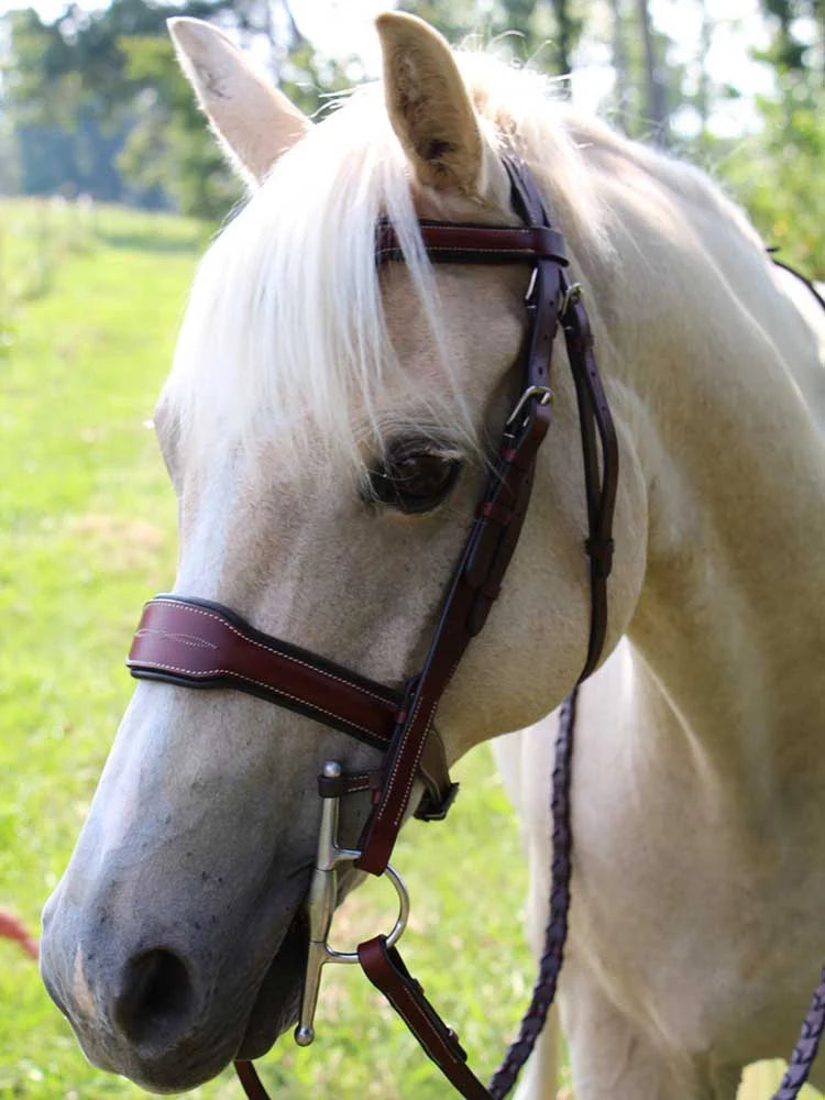 Grewal Equestrian - Santorini Snaffle Bridle