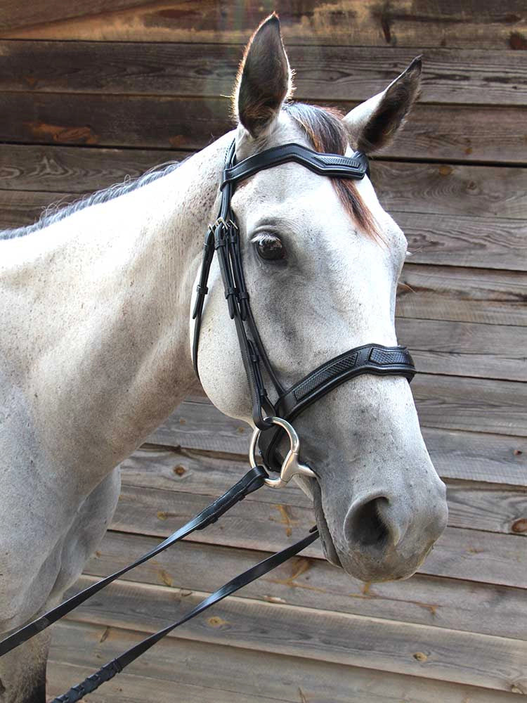 Grewal Equestrian - Cobra Snakeskin-Embossed Monocrown Bridle