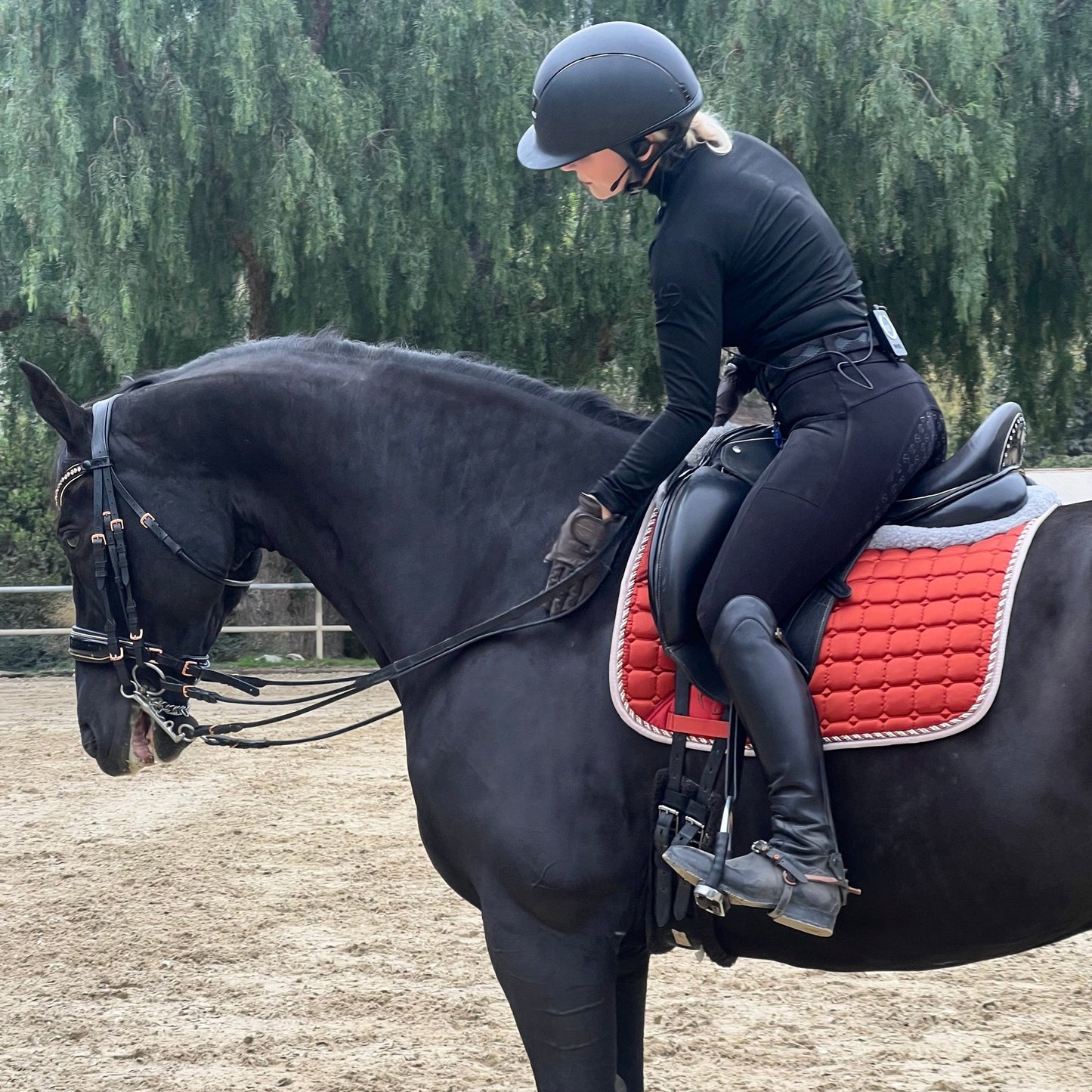 Halter Ego - Satin Classic Dressage Saddle Pad - Rust
