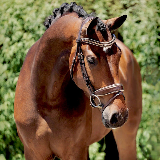Halter Ego - The Catalonia Metallic Bronze Leather Snaffle Bridle with Removable Flash
