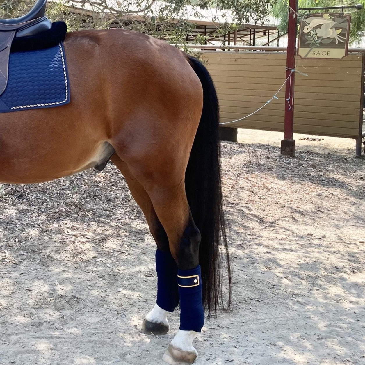 Halter Ego - Halter Ego Navy & Gold Fleece Bandages