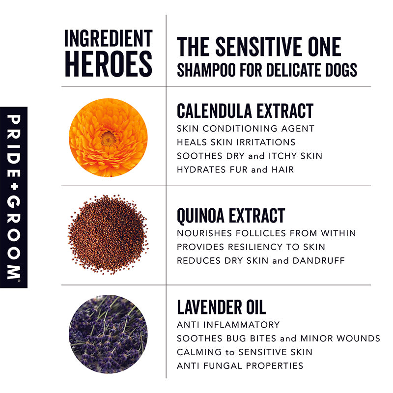 PRIDE+GROOM THE SENSITIVE ONE Hypoallergenic Dog & Puppy Shampoo — With Hemp Oil, Aloe & Oatmeal for Sensitive Skin