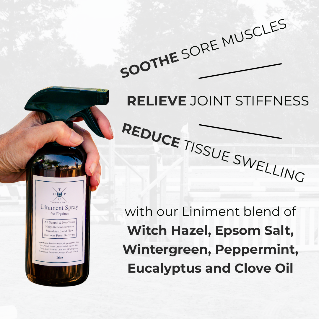 The Hoof & Paw Co. Liniment Spray for Horses - 16oz