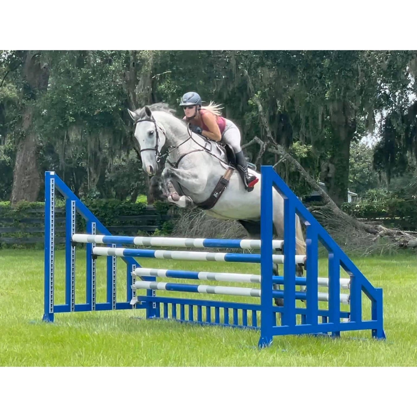 Majyk Equipe - Hi-Efficiency All Purpose Girth with Removable Neoprene-Free Liner