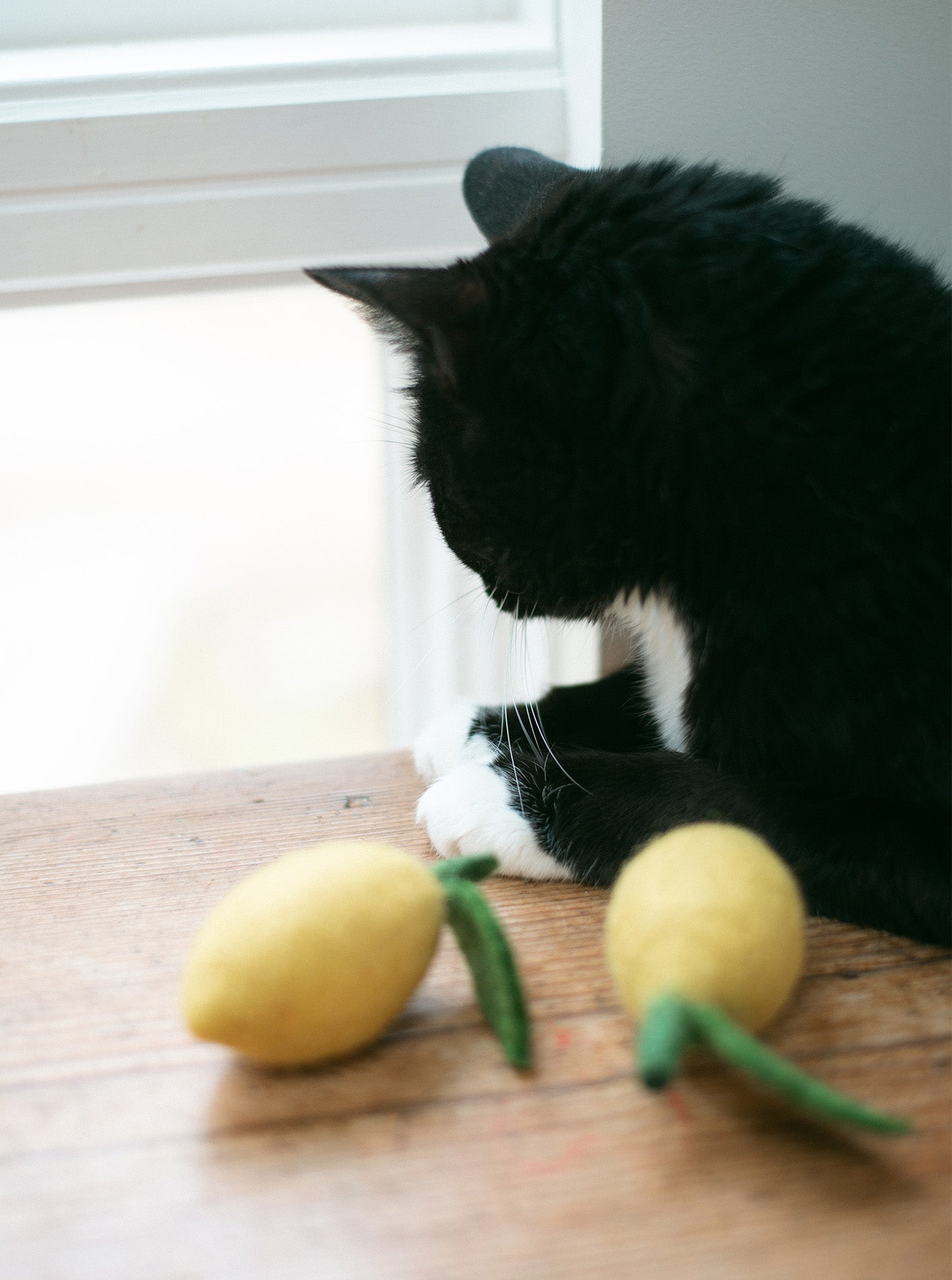 MODERNBEAST - Lemon Wool Dog & Cat Toy
