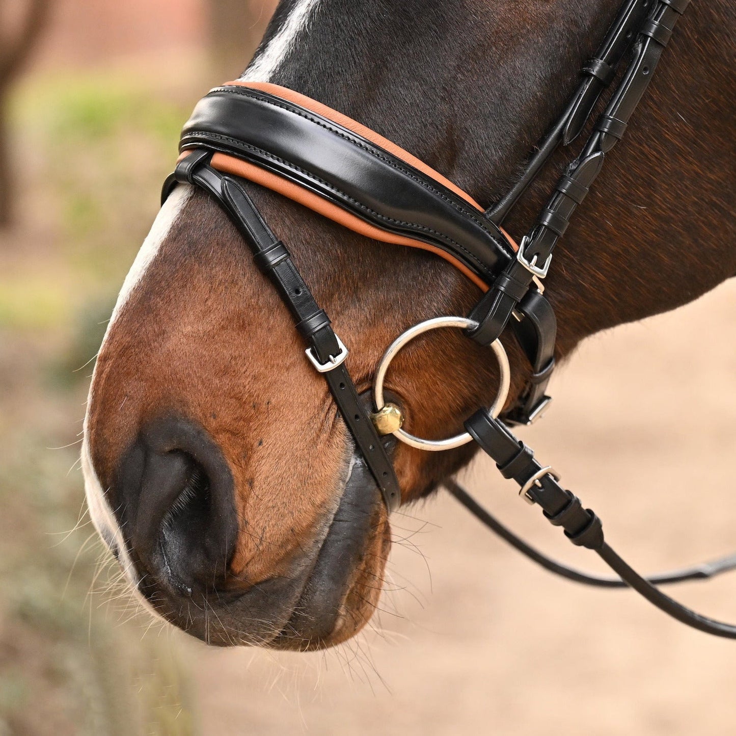 Halter Ego - The Tuscany Black Leather Rolled Leather Snaffle Bridle with Removable Flash