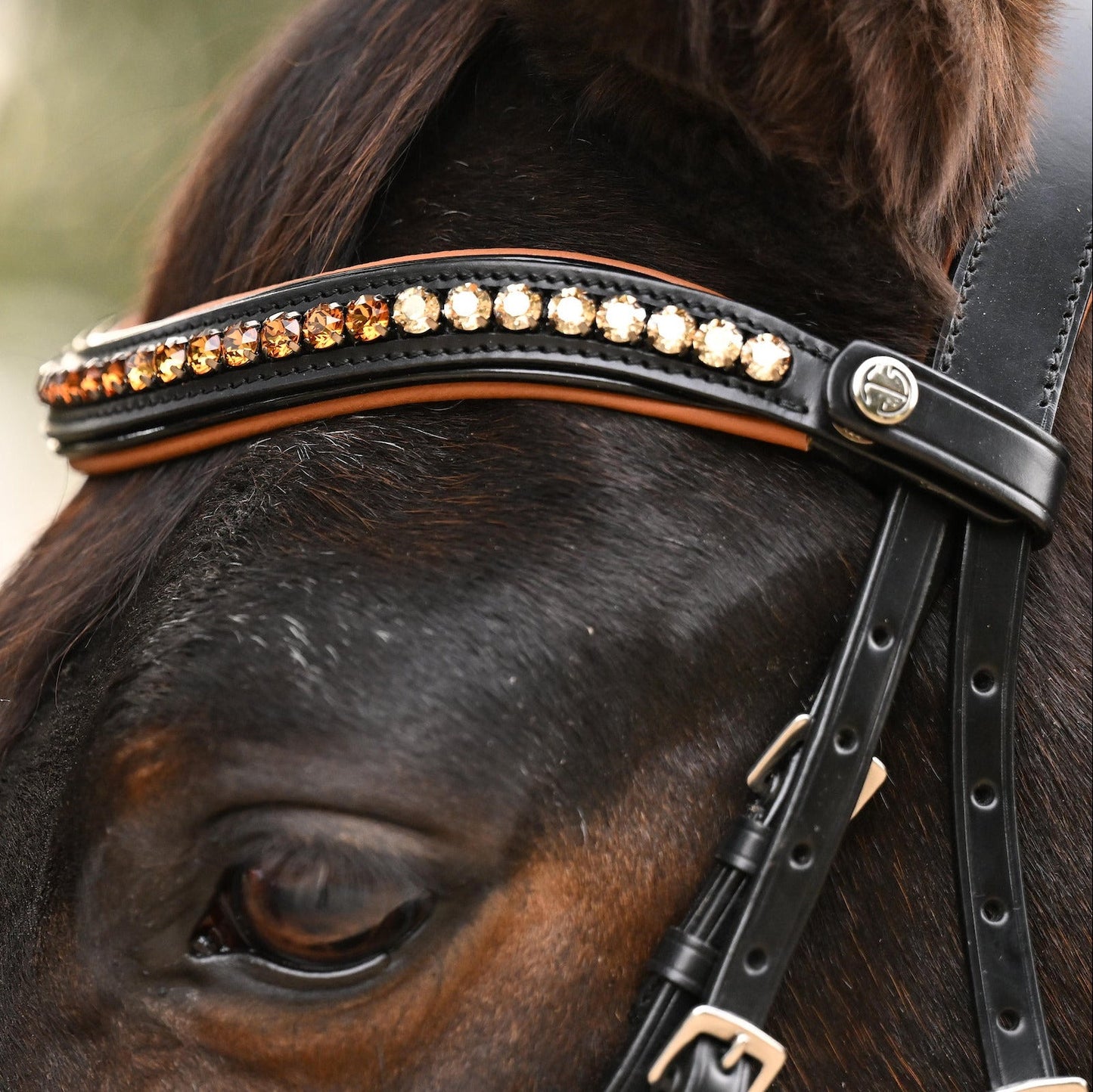 Halter Ego - The Tuscany Black Leather Rolled Leather Snaffle Bridle with Removable Flash