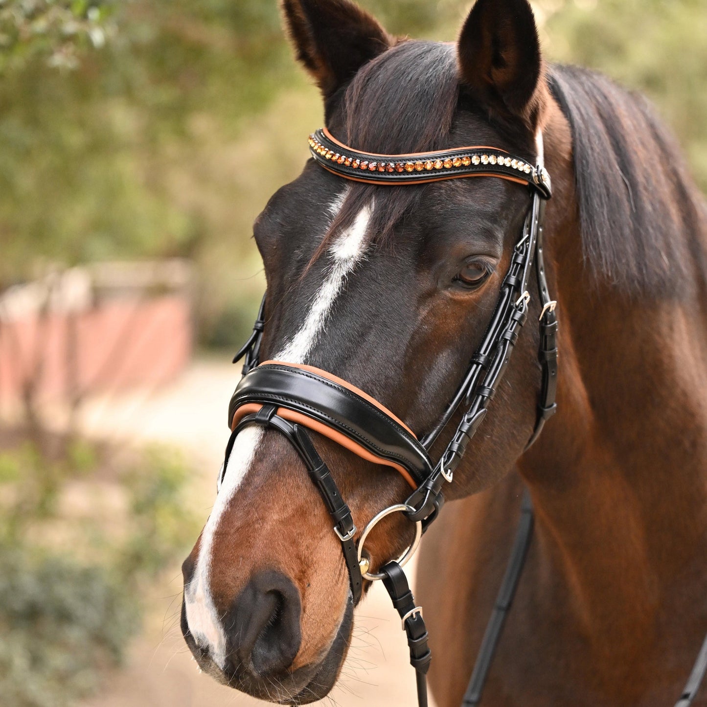 Halter Ego - The Tuscany Black Leather Rolled Leather Snaffle Bridle with Removable Flash