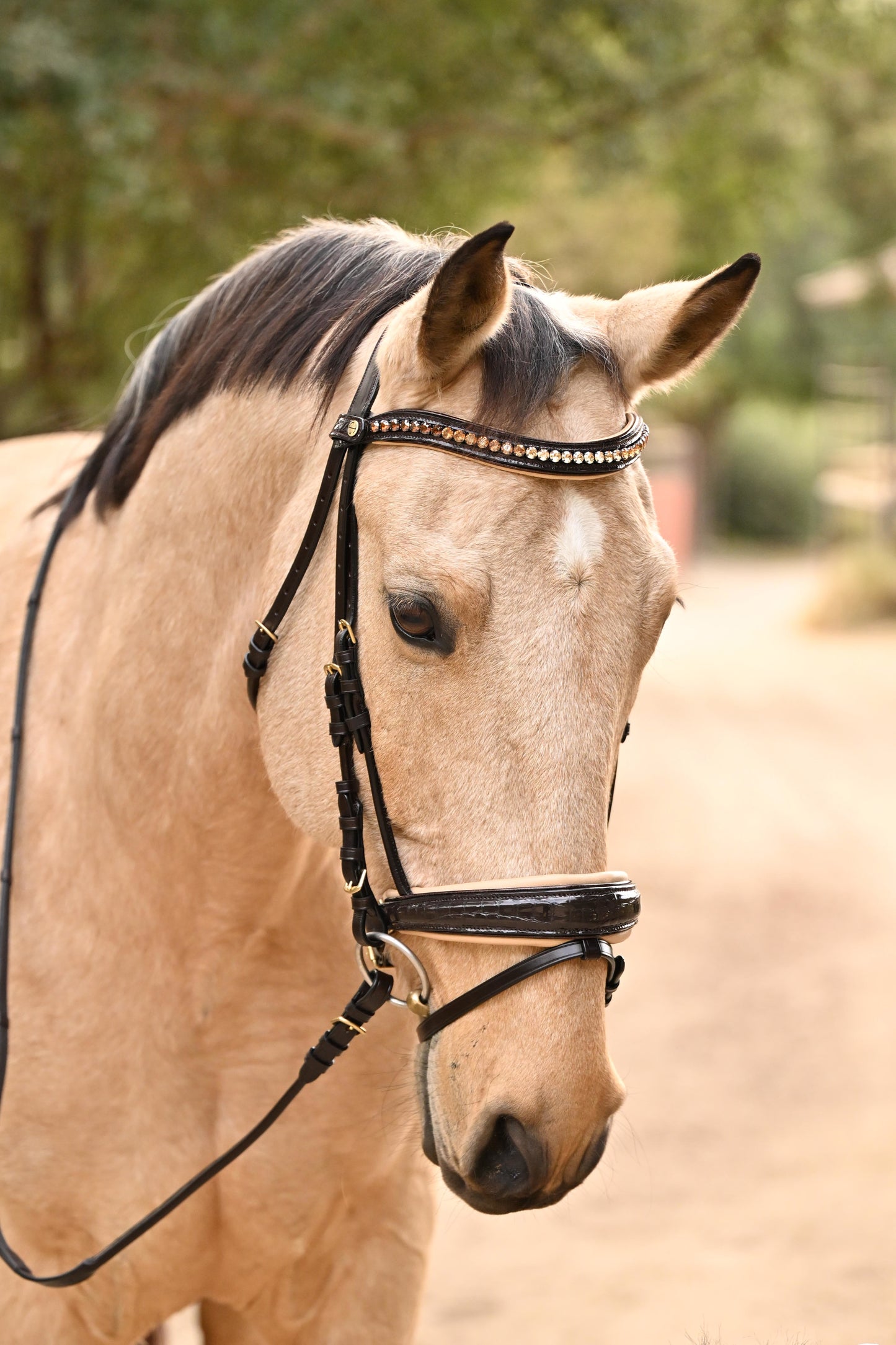 Halter Ego - The Vienna Brown Patent Leather Snaffle Bridle with Bronze Golden Sparkle Piping