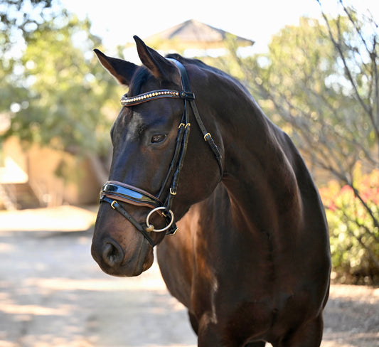 Halter Ego - The Palermo Black Patent Leather Snaffle with Brown Padding