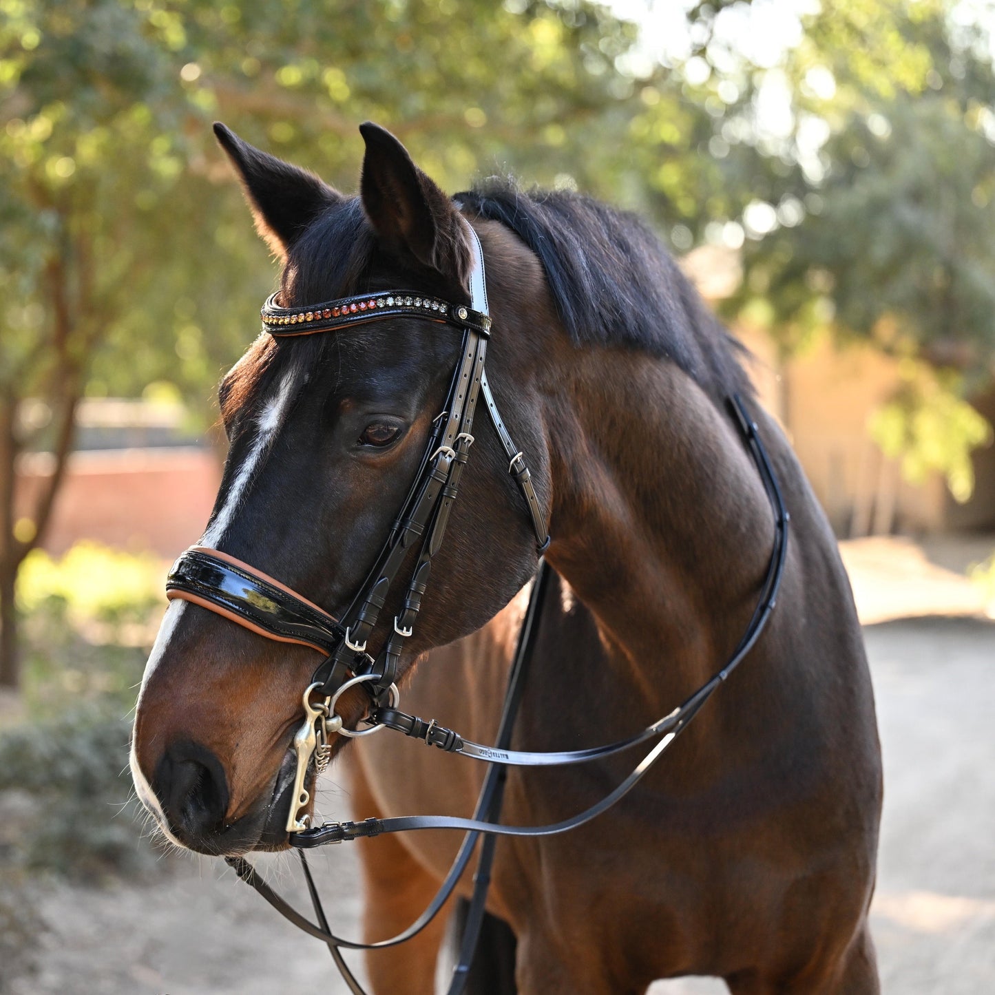 Halter Ego - The Tuscany Black Patent Leather Double Bridle