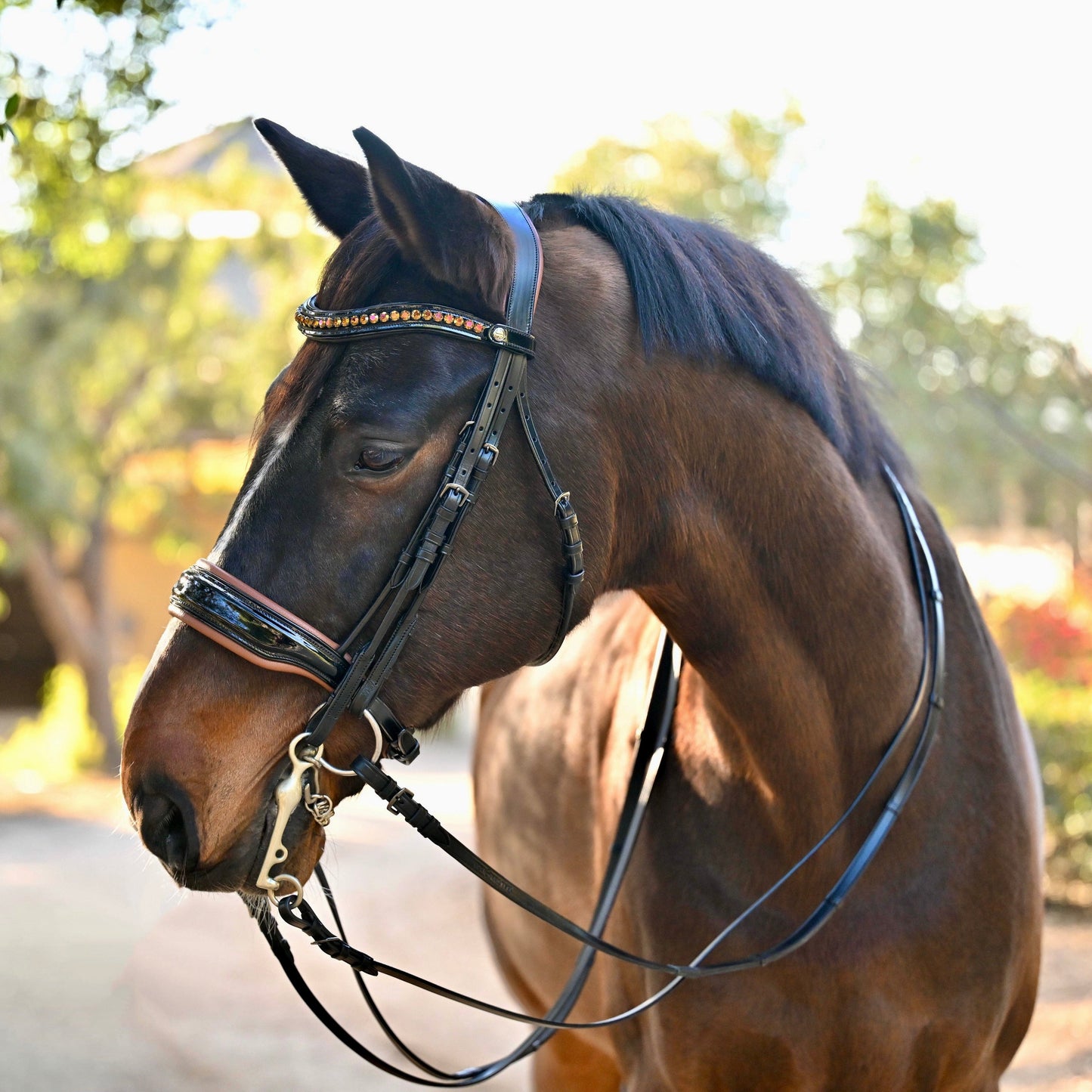 Halter Ego - The Umbria Rolled Black Patent Leather Double Bridle