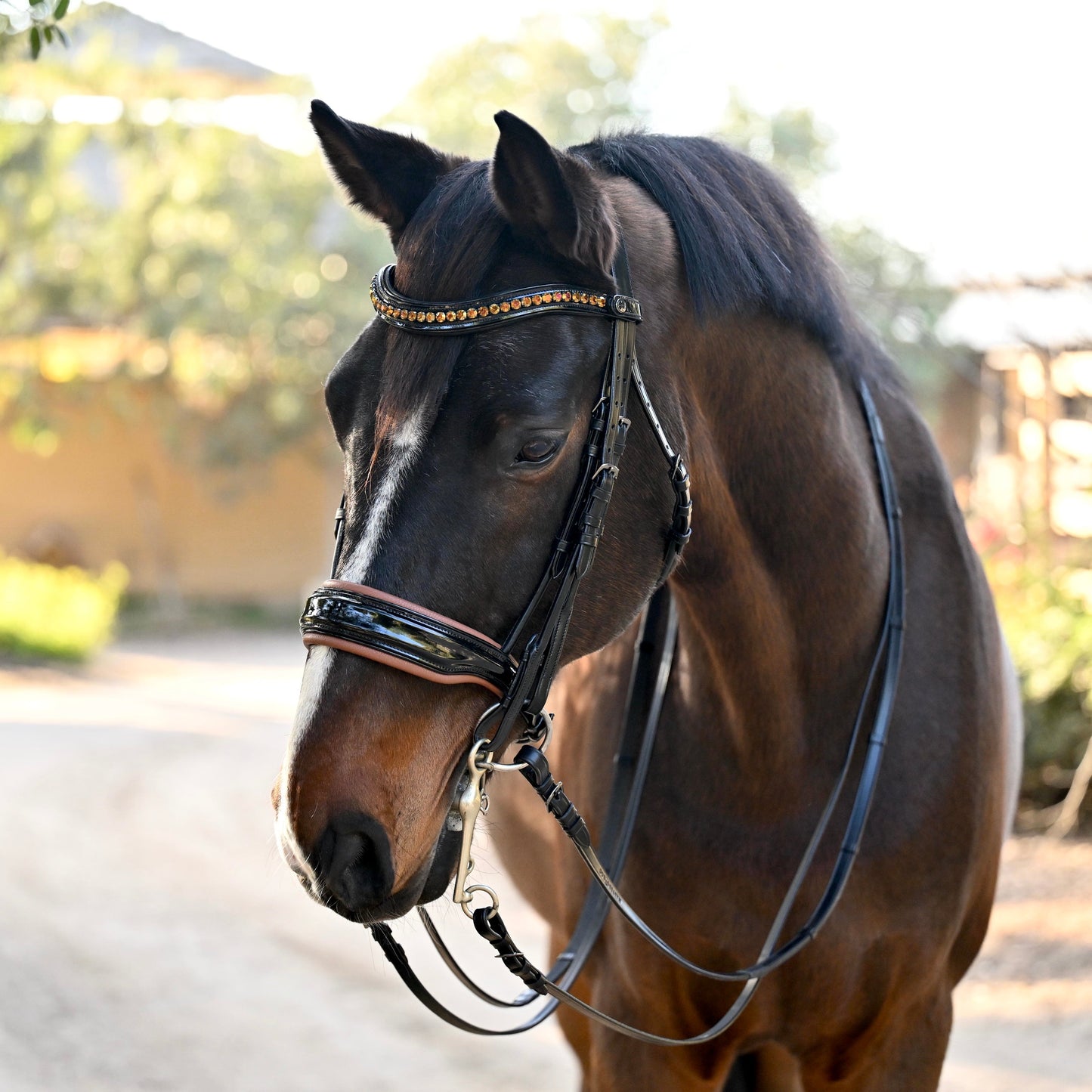 Halter Ego - The Umbria Rolled Black Patent Leather Double Bridle
