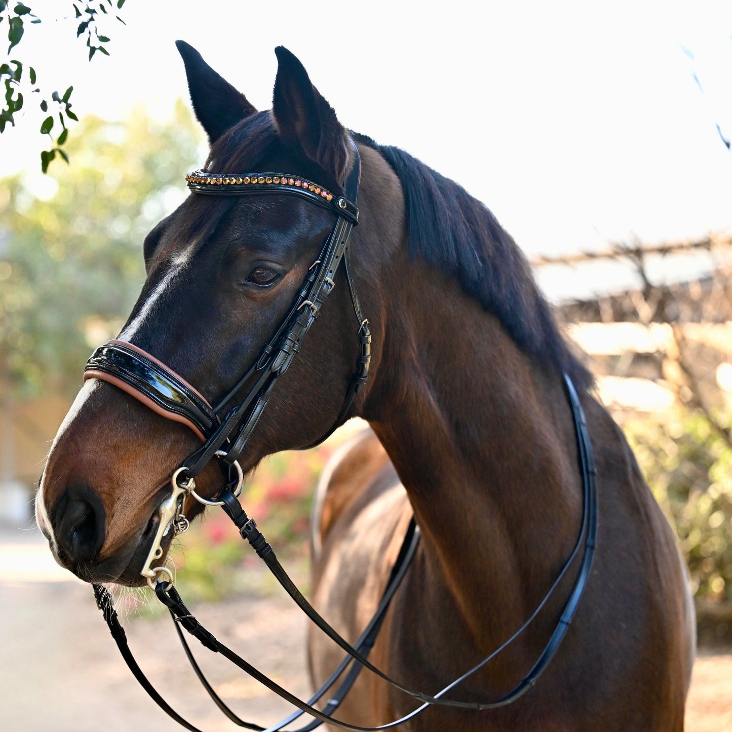 Halter Ego - The Umbria Rolled Black Patent Leather Double Bridle