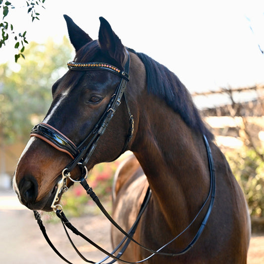 Halter Ego - The Umbria Rolled Black Patent Leather Double Bridle