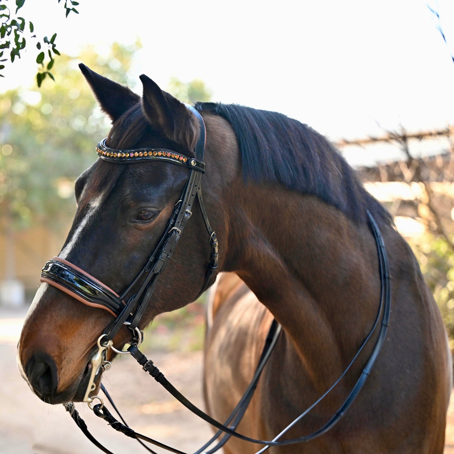 Halter Ego - The Umbria Rolled Black Patent Leather Double Bridle