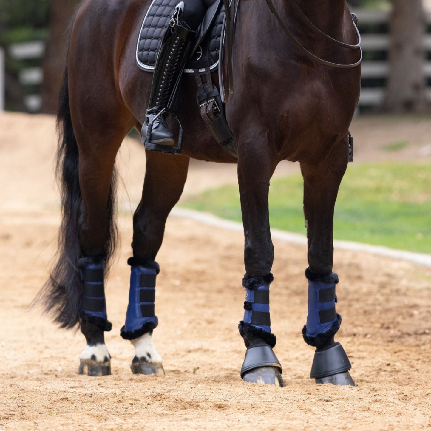 Halter Ego - Brushing Boots - Royal Blue