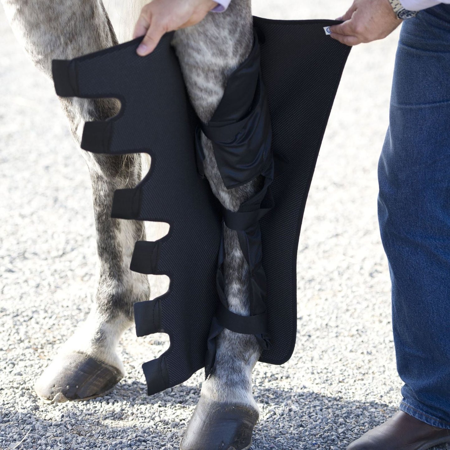 Ice Horse - Knee to Ankle Wraps with Suspender Strap
