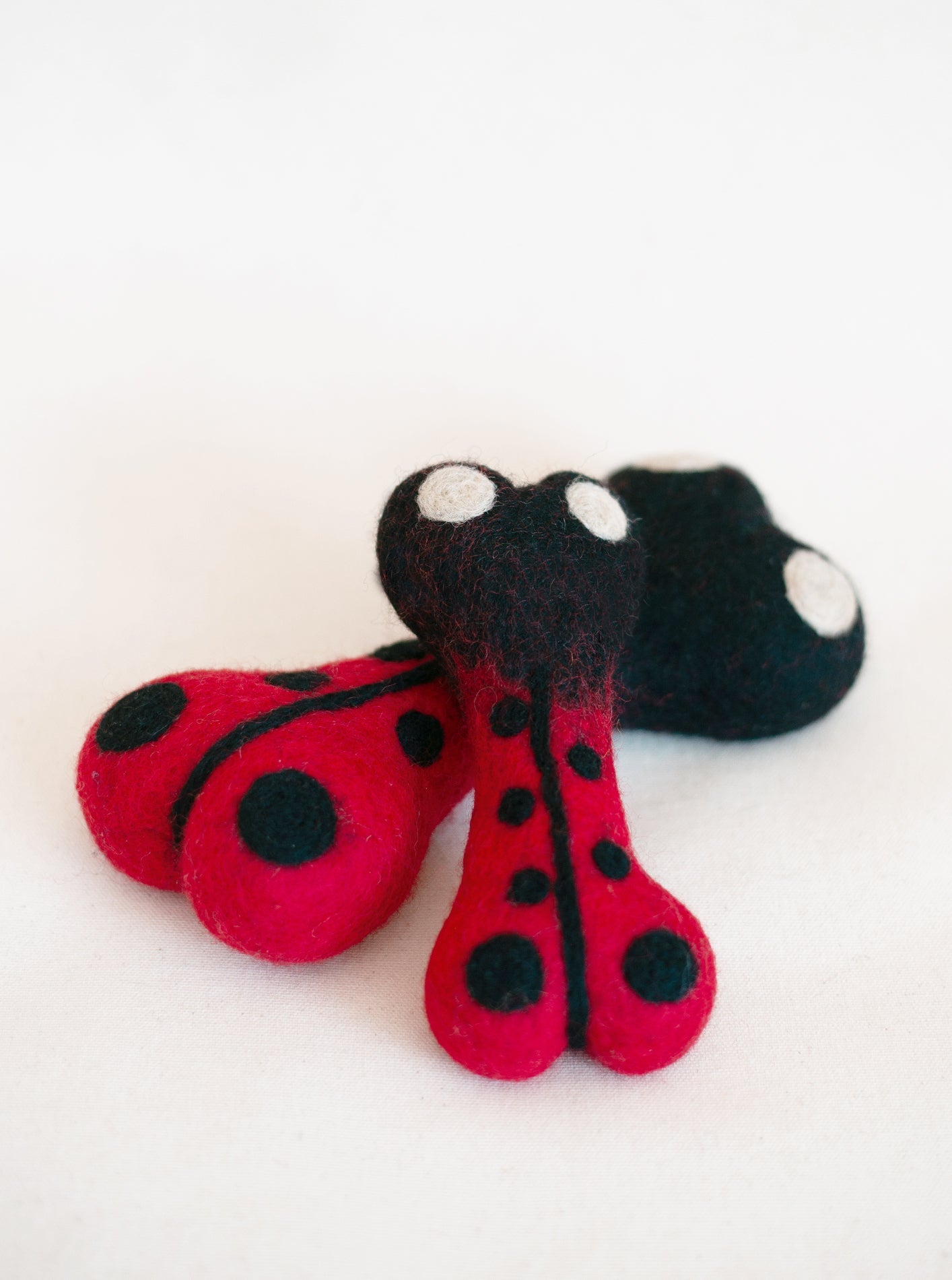 MODERNBEAST - Ladybug Wool Bone Dog Toy