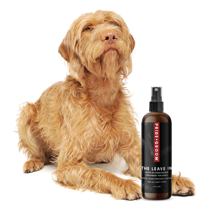 PRIDE+GROOM THE LEAVE IN Dog Detangling Leave in Spray — Detangling, Moisturizing & Conditioning Leave In Spray for Dogs