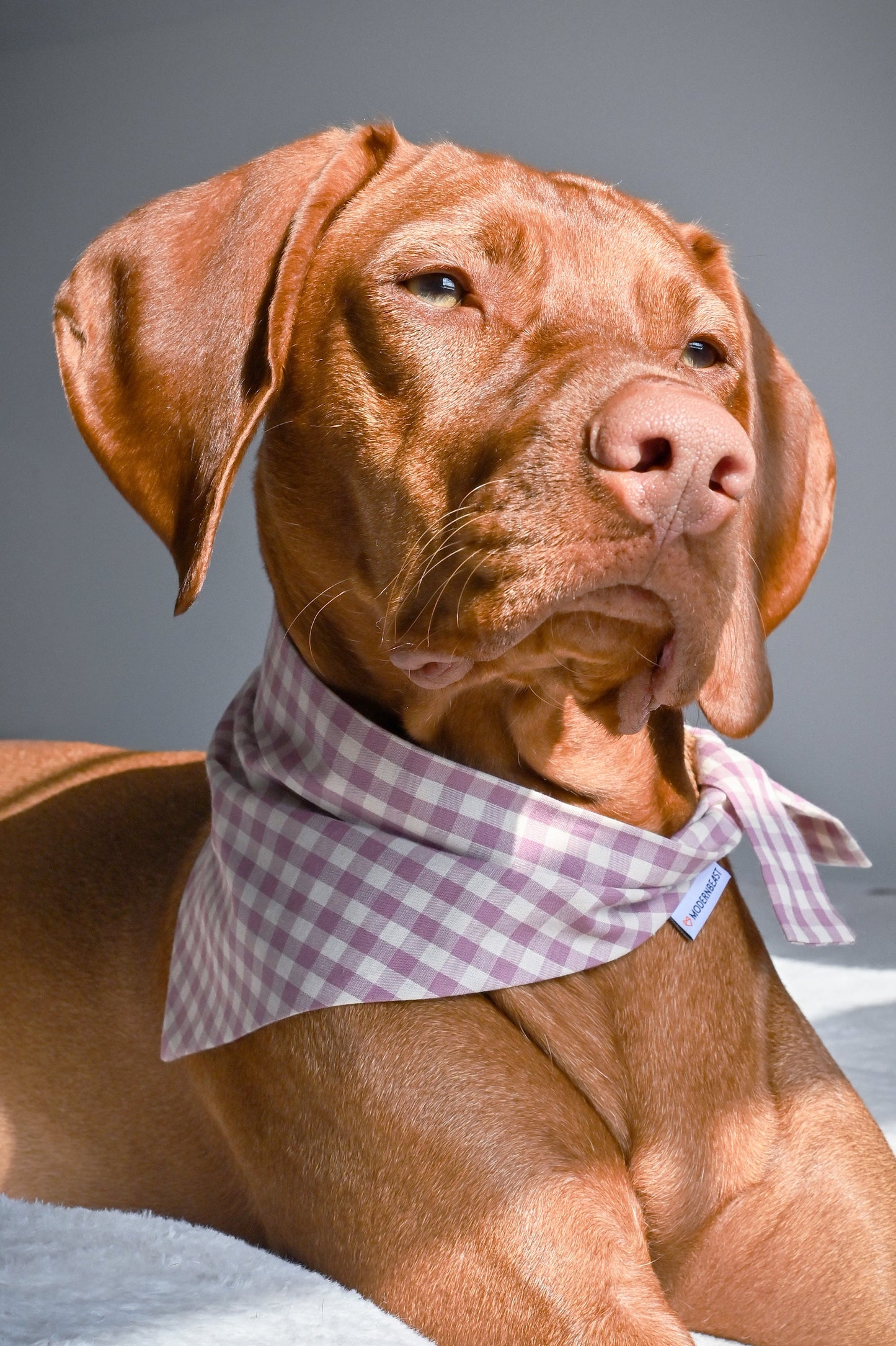 MODERNBEAST  Gingham Bandana