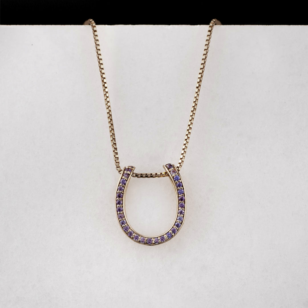Urban Equestrian - Levade - Violet Moissanite Horseshoe Equestrian Necklace in Silver