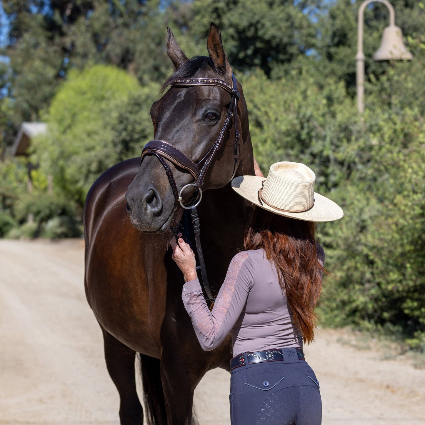 Halter Ego - The Sun King Brown Patent Leather Snaffle Bridle