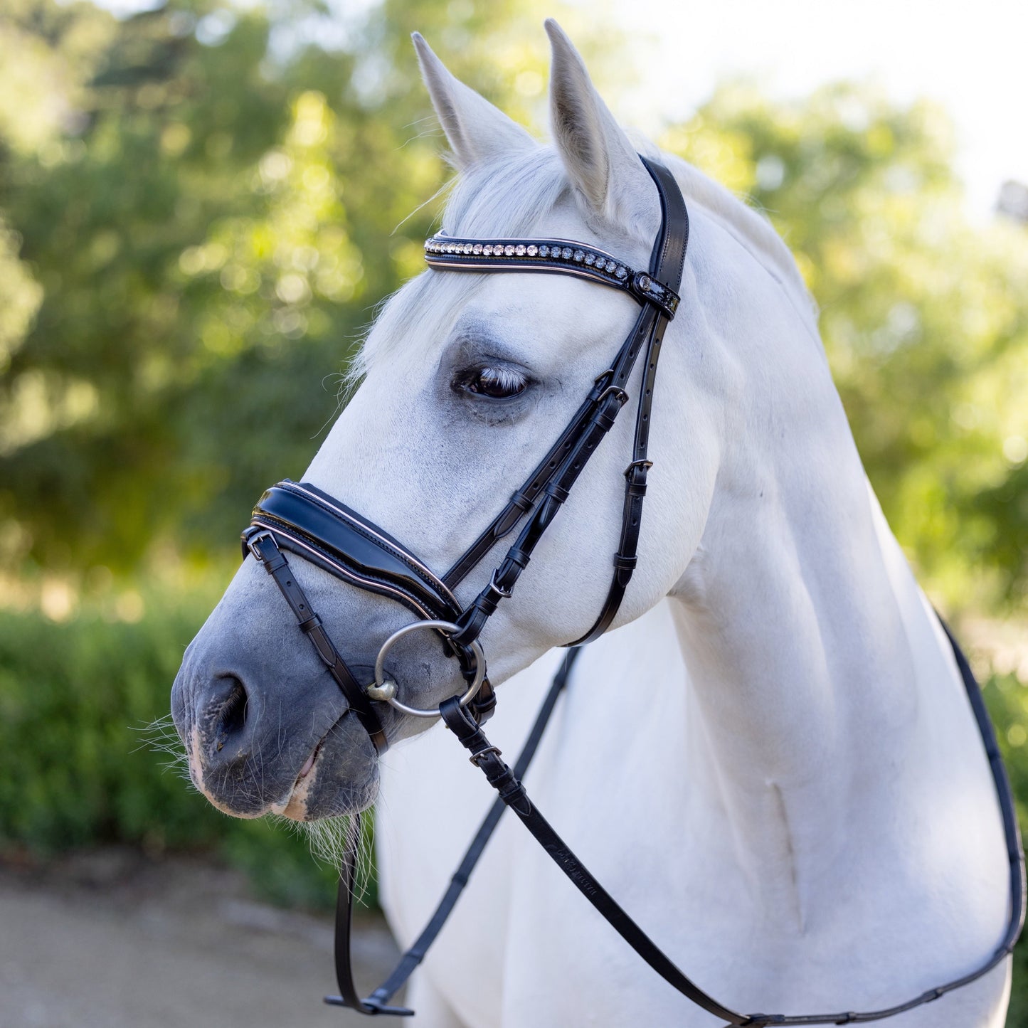 Halter Ego - The Gotham Black Patent Snaffle Bridle – Patent Leather | Croc Print | Ombre Austrian Crystal Browband