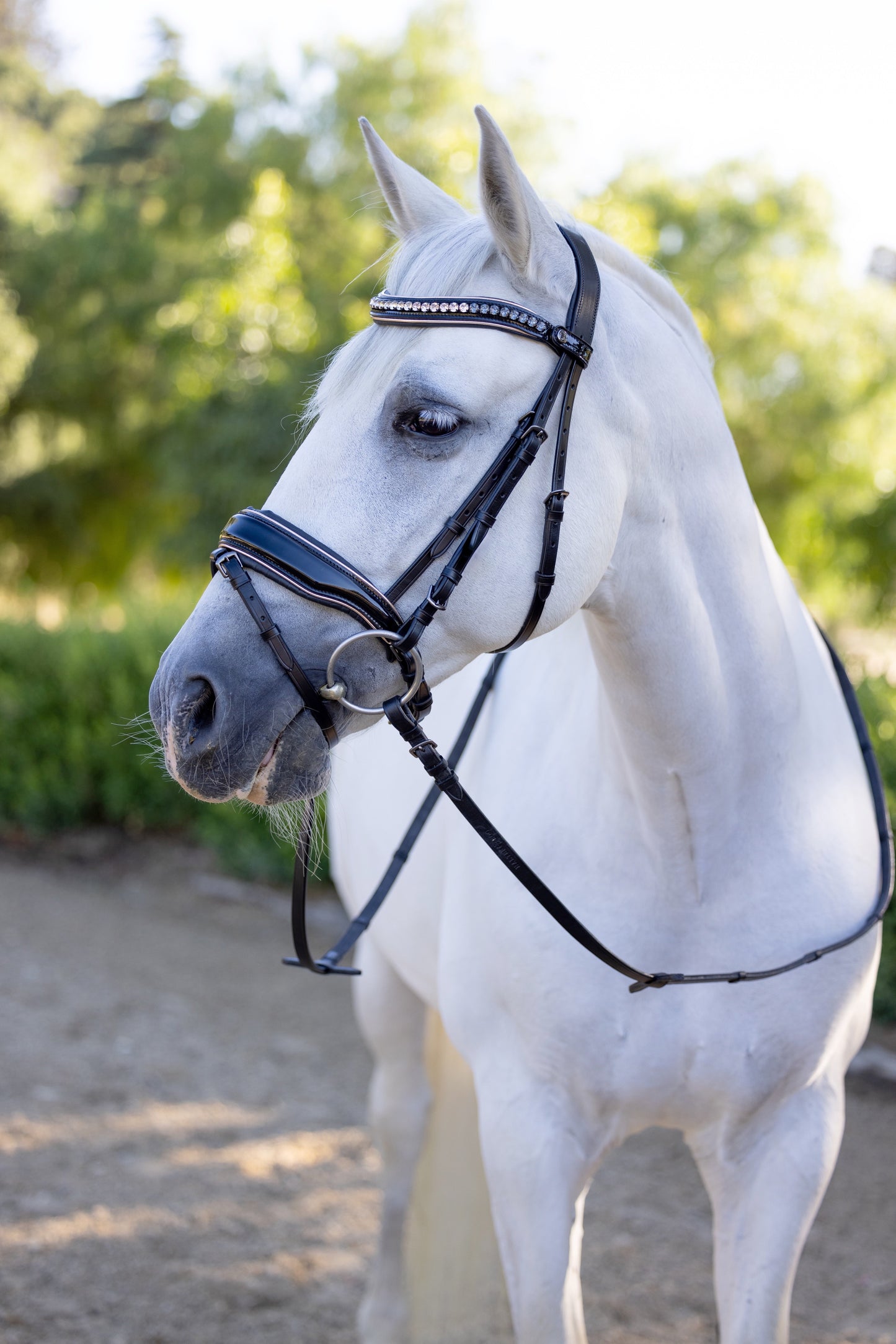 Halter Ego - The Gotham Black Patent Snaffle Bridle – Patent Leather | Croc Print | Ombre Austrian Crystal Browband
