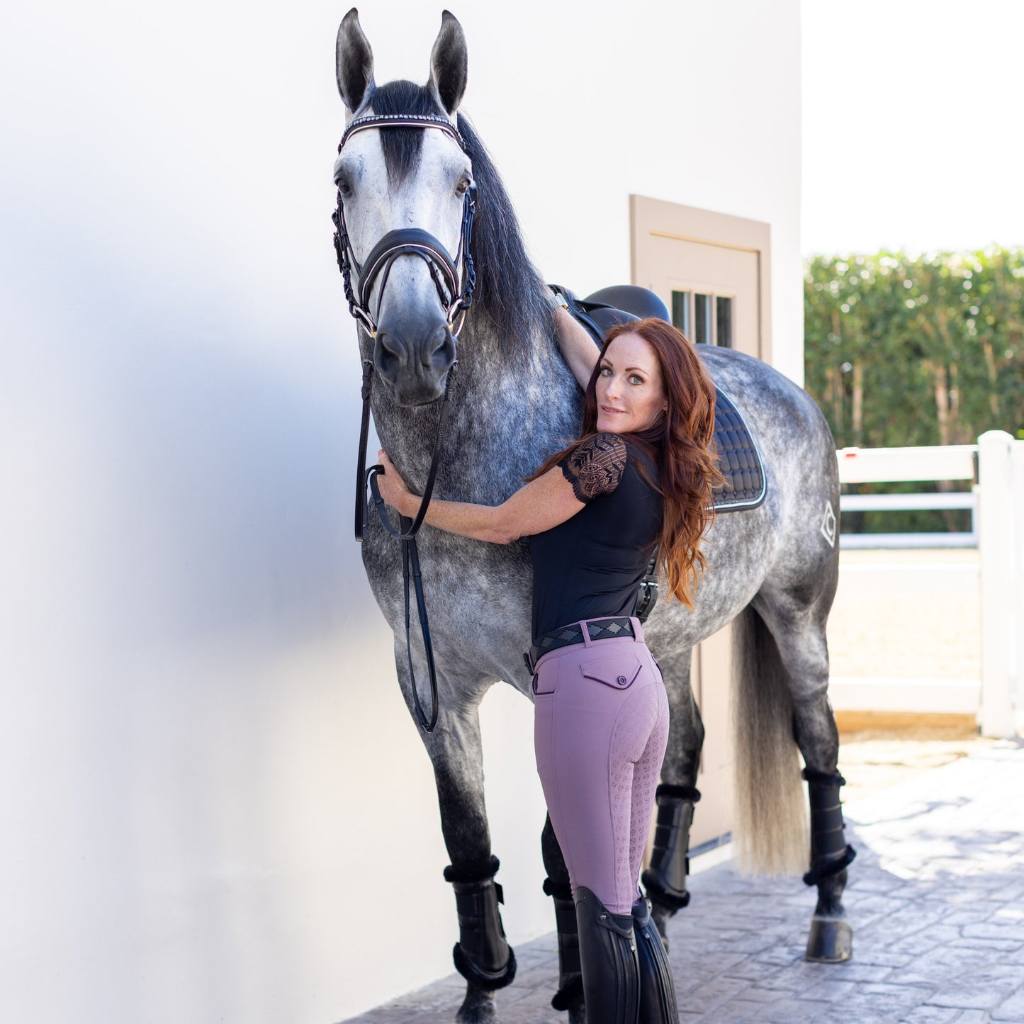Halter Ego - Evolution Full Seat Breeches - French Lilac - MID WAIST