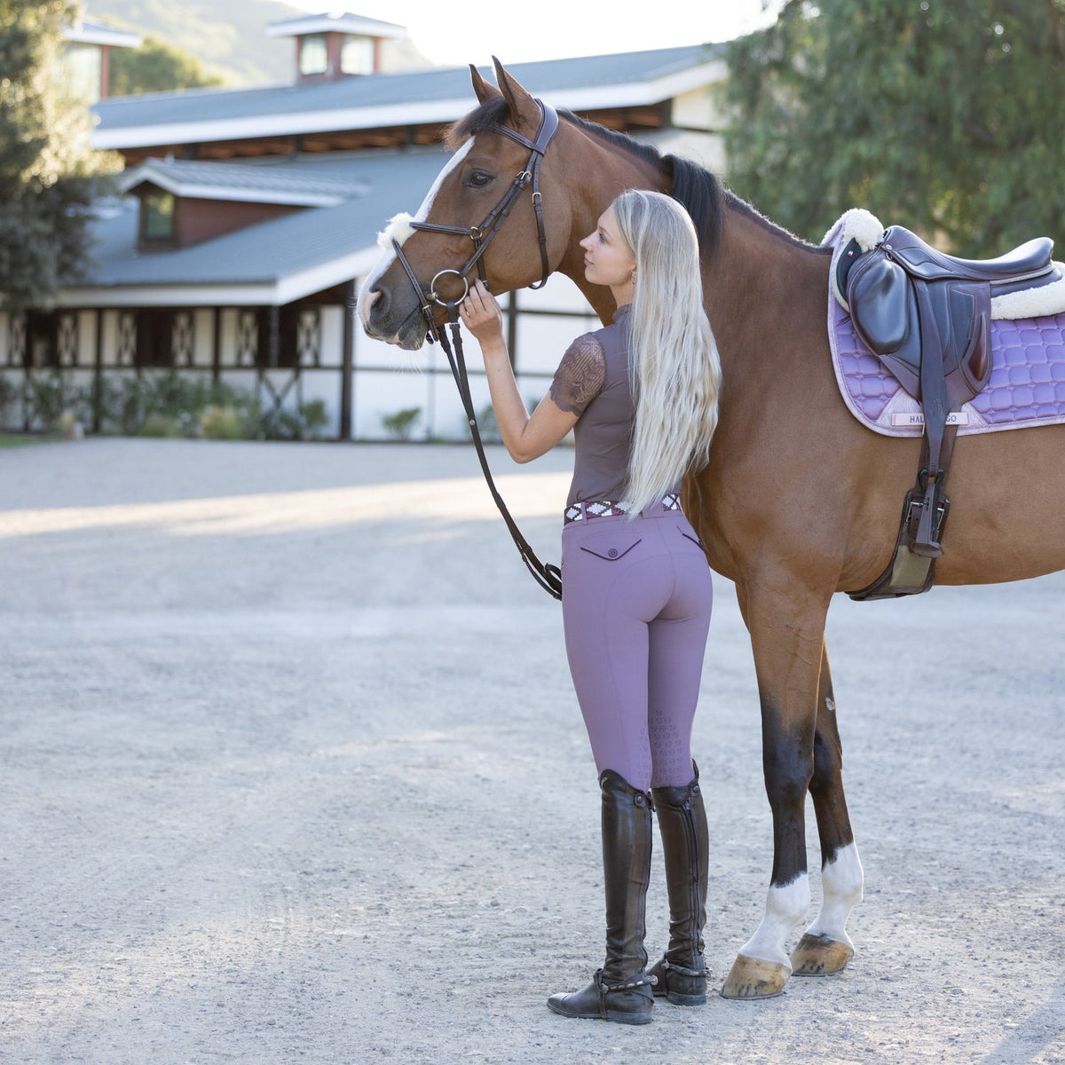 Halter Ego - Evolution Knee Patch Breeches - French Lilac