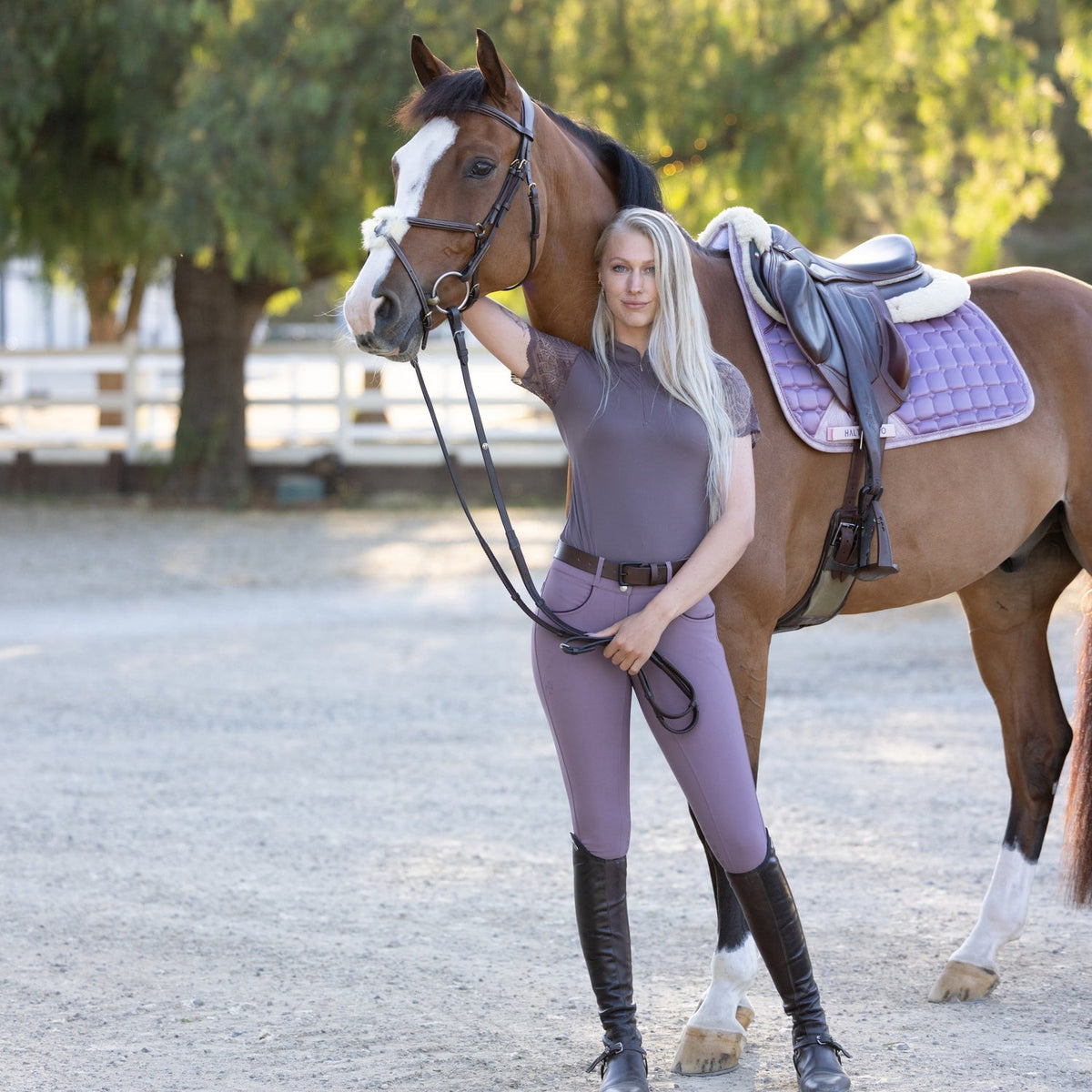Halter Ego - Evolution Knee Patch Breeches - French Lilac