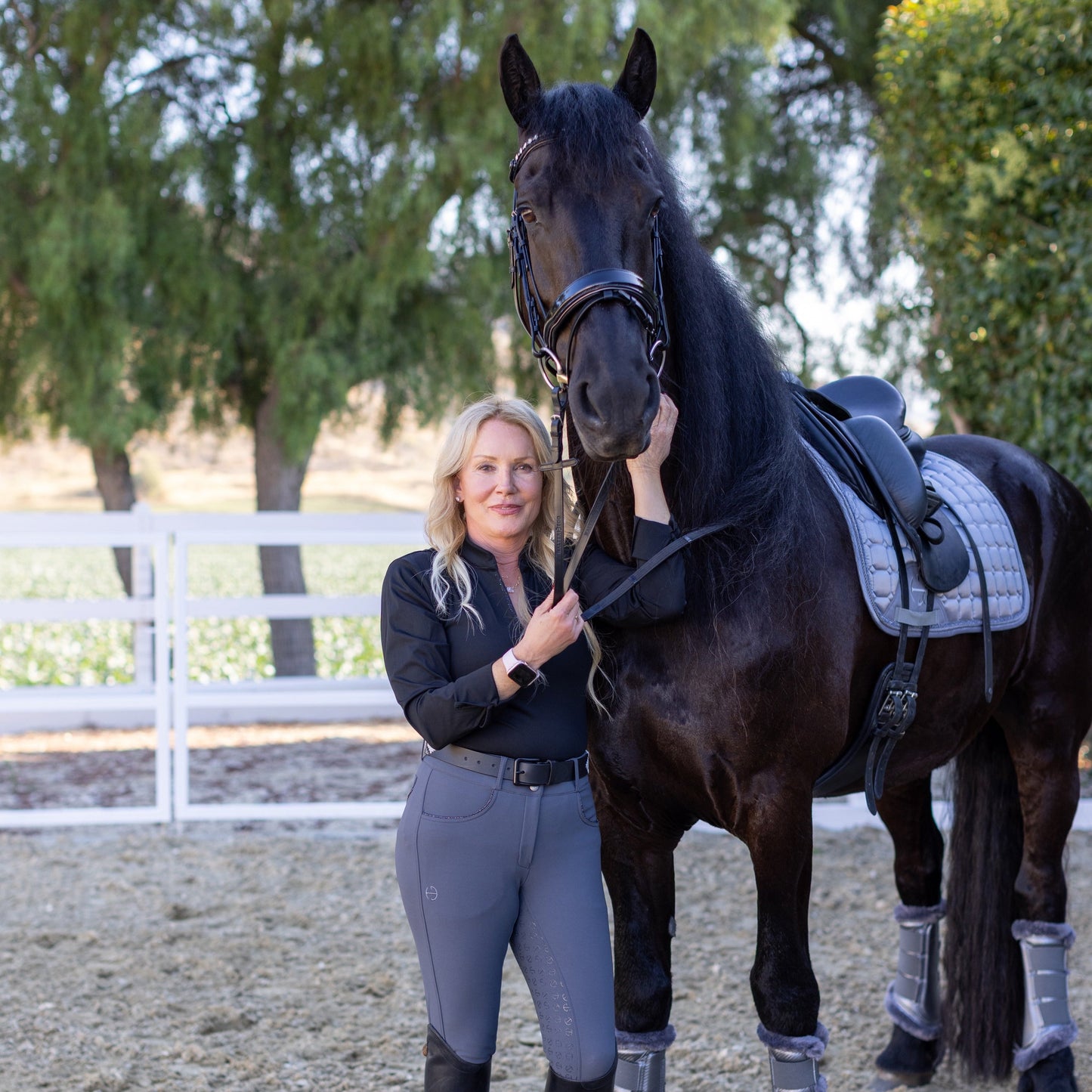 Halter Ego - Evolution Full Seat Breeches - Jet Set Gray & Anthracite