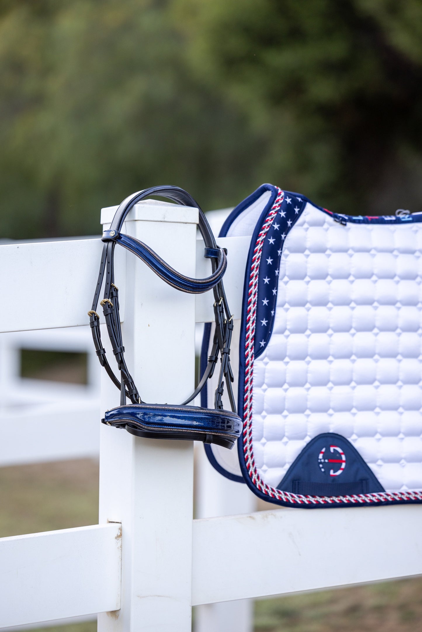 Limited Edition TEAM USA Satin Classic Dressage Saddle Pad (Full)