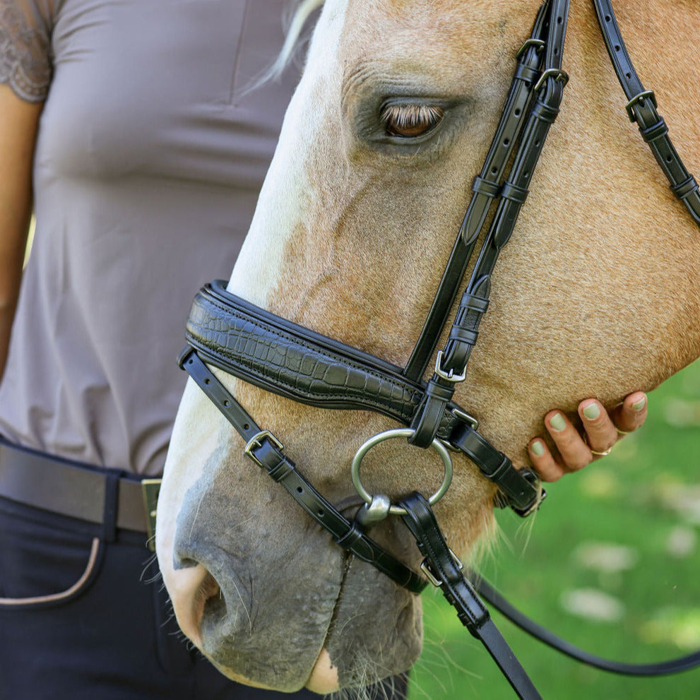 Halter Ego - Doc Marten Black Leather Snaffle Bridle with Removable Flash