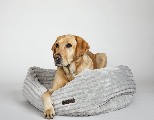 Jax & Bones - Luna Grey Napper Dog Bed with Bolsters