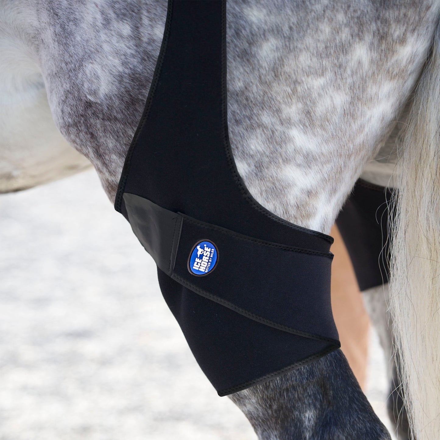 Ice Horse - Stifle Wraps