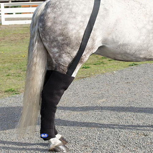 Ice Horse - Full Hind Leg Wraps