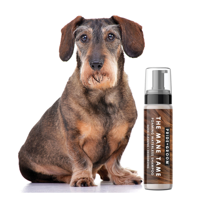 PRIDE+GROOM THE MANE TAME Waterless Dog & Cat Shampoo — No-Rinse Pet Grooming and Quick Cleaning