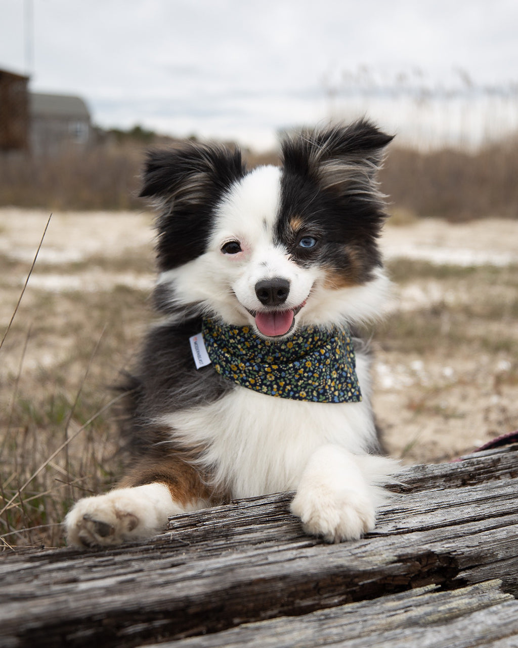 MODERNBEAST Floral Bandana