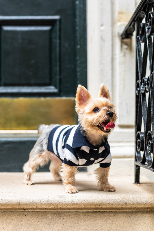 BESPOKE PAWS - ‘Gene’ Cashmere blend Polo