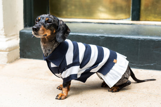 BESPOKE PAWS - ‘Gladys’ Cashmere blend Polo Dress